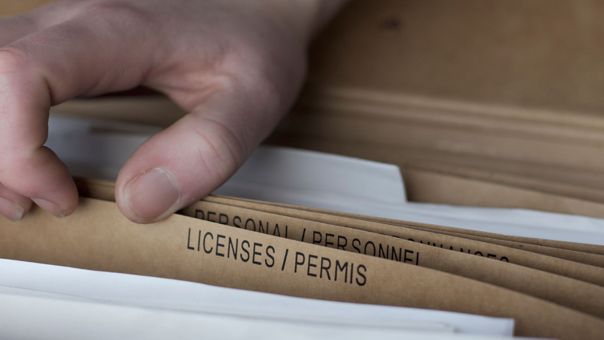 Gestión de Licencias y Registros